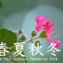 4K 山田池公园 春夏秋冬 The four seasons Yamadaike Park  Hirakata City