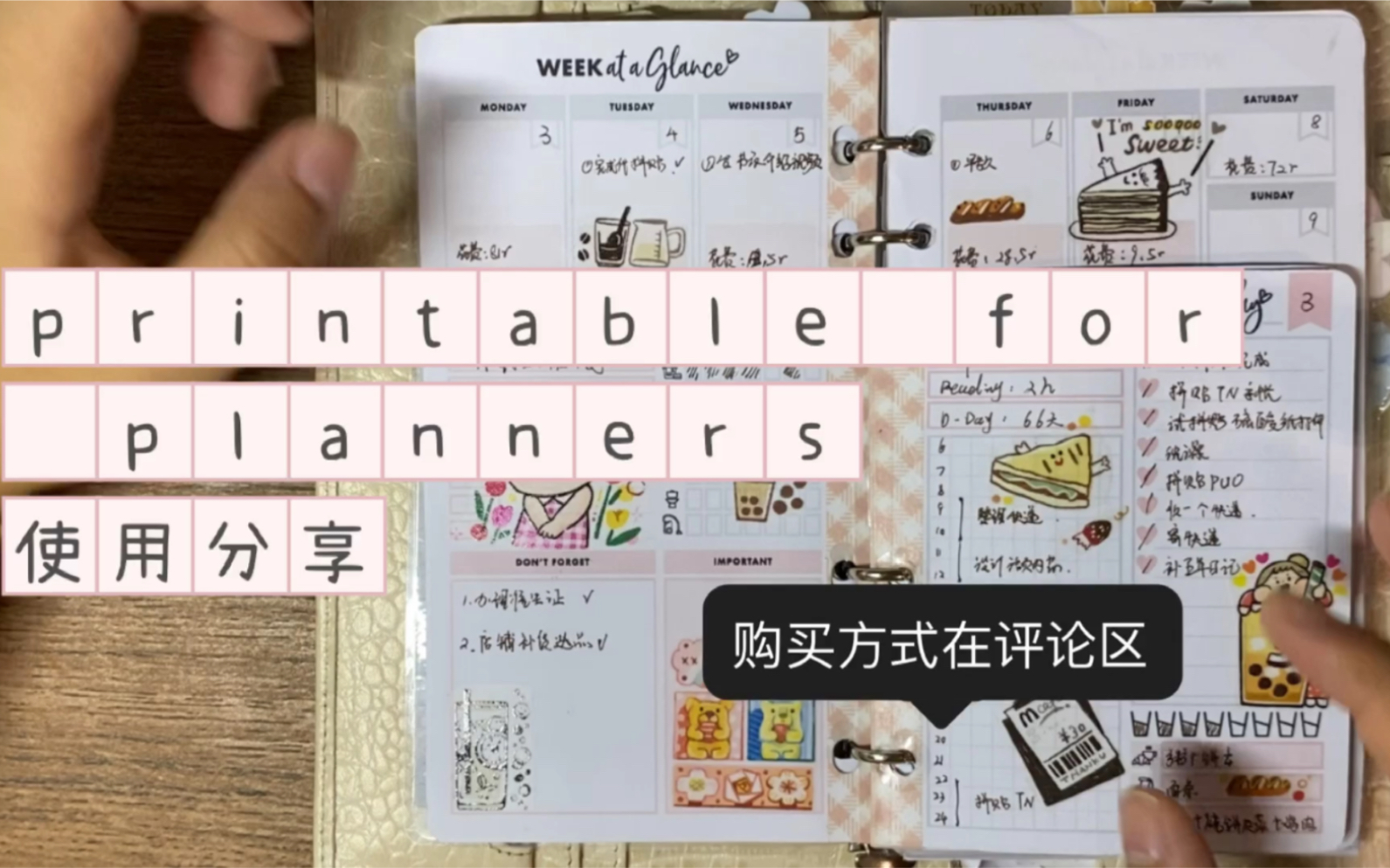 【大金】printable for planners使用分享|购买方式|效率手帐哔哩哔哩bilibili