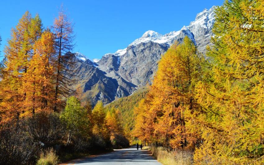 奋斗在意大利-哔哩哔哩唧唧-bilibili视频|弹幕在