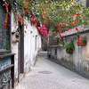 去放松吧，去逛免费的公园，去走林荫的小道，去摸古老的城墙，去看花看树看海吧