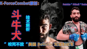 我就是炮哥原版广场舞 43498f8c9a5154e796af387b03986607e8d08a24.jpg@280w_158h_1c_100q.jpg
