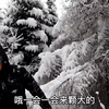这种雪景，你不来浪一下都对不起这天气