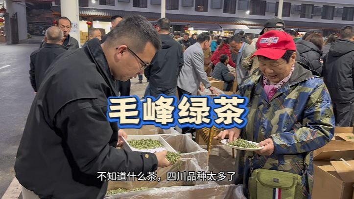 四川茶有点逆天，238一斤拿下的毛峰绿茶，泡开全是一颗颗单芽