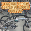 TERN燕鸥 D9银色TERN燕鸥P10黑色年底好价#自行车 #折叠车 #老刘只懂车