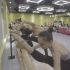 中国舞基本功课程之压腿