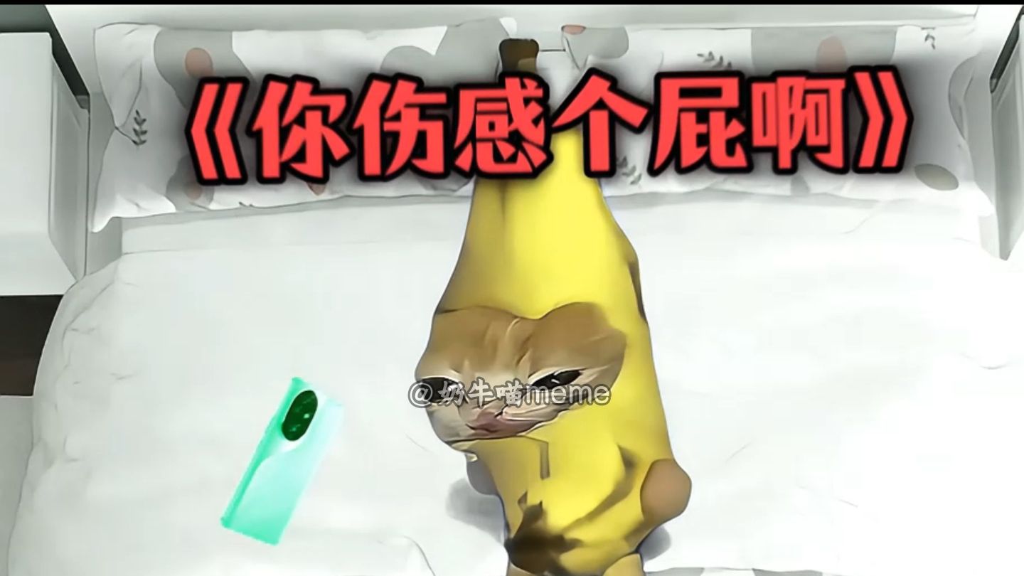 当我睡前听雷霆小说6