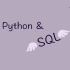 小试牛刀，审计人员操作mysql, 工具用python (xlwings、pymysql) SQL