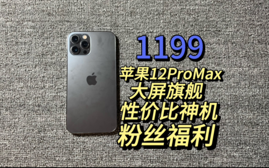 【苹果12ProMax】大屏旗舰 性价比神机 备用主力都无敌 这个价格还要什么电动车