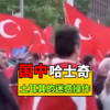 狗中哈士奇，国中土耳其