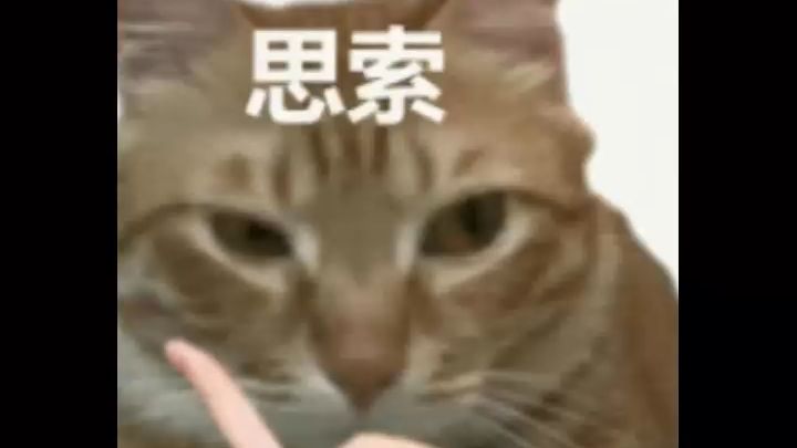 综合：AI解锁颜值巅峰~