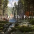 《森林2：森林之子》：官方宣传片