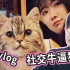 带上猫陪日本妻子回老家，六个月小奶猫和十五岁老狗狗的初次会面【八云vlog】