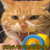 猫咪模仿姚安娜上下左右举枪