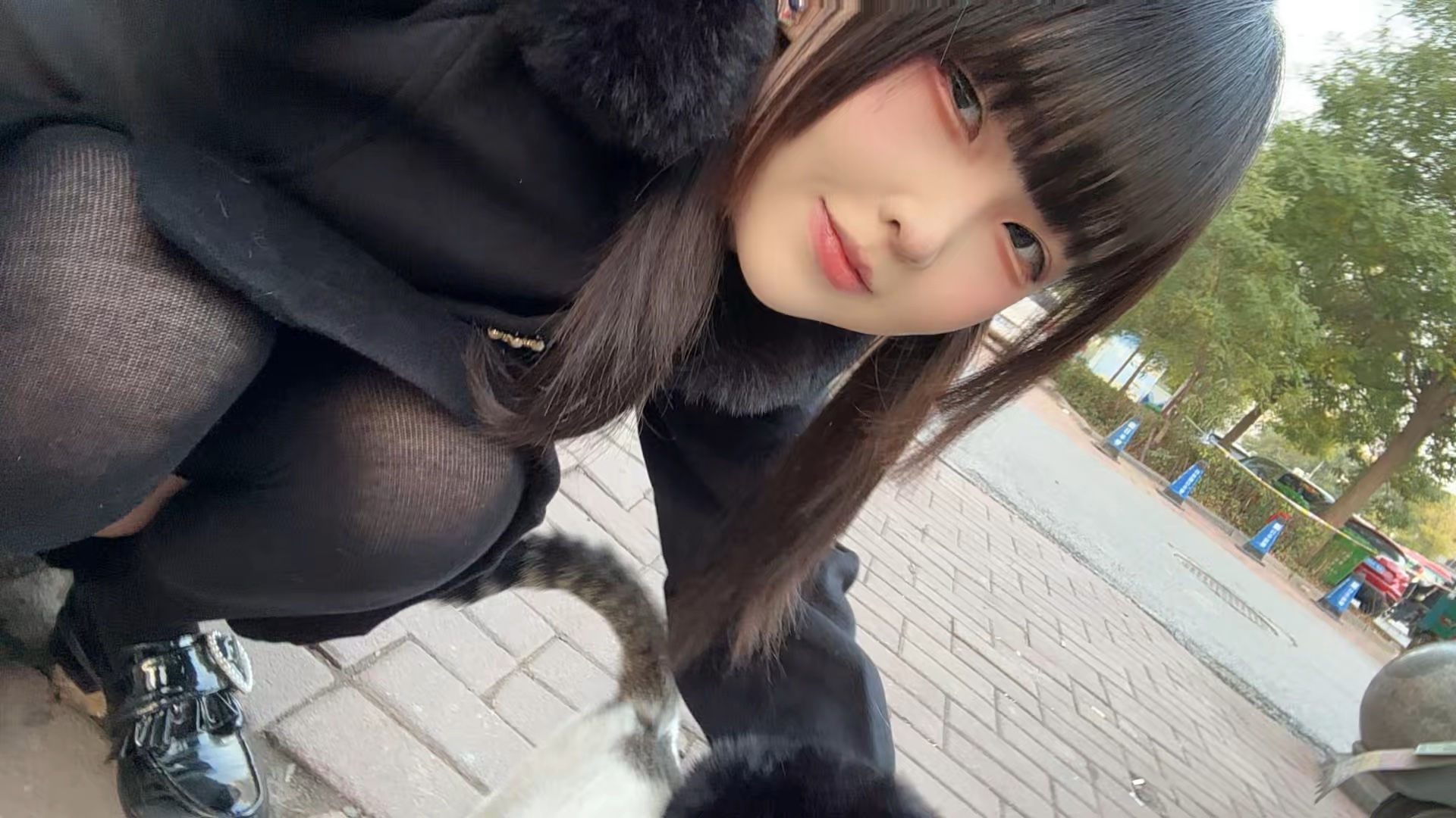 Extreme cat-sucking body