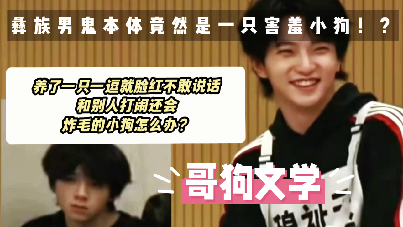 【橹穆】彝族男鬼本体竟然是一只见了哥哥就害羞的小狗！