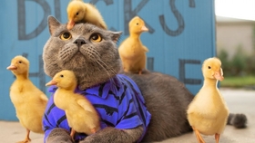 猫咪和人跳舞 440fb1383135da0900beb4420c63857ed0a8d95e.jpg@280w_158h_1c_100q.jpg