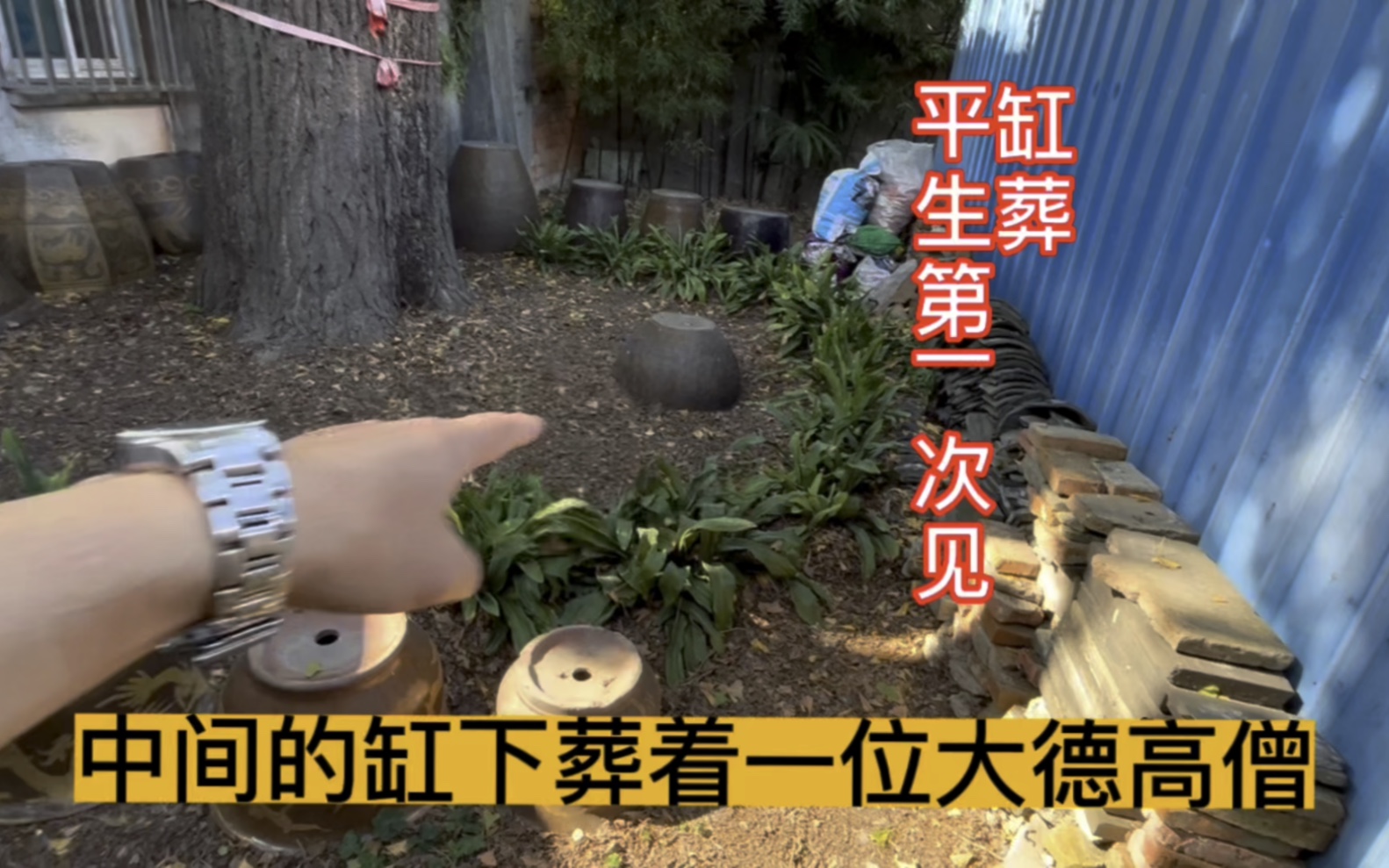 平生第一次见到缸葬,在苏州一个800年历史的小庵里,真正意义上的清修