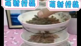 生活小妙招视频大全教程 44841ec50a3280bce116ed5365d60aa4d2808352.jpg@280w_158h_1c_100q.jpg