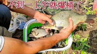 448a074763e860306b4607562cc22b433d698833.jpg@310w_174h_1c_100q.jpg