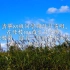 【刘森/无边界音乐全收录】四月的天空（听歌向）