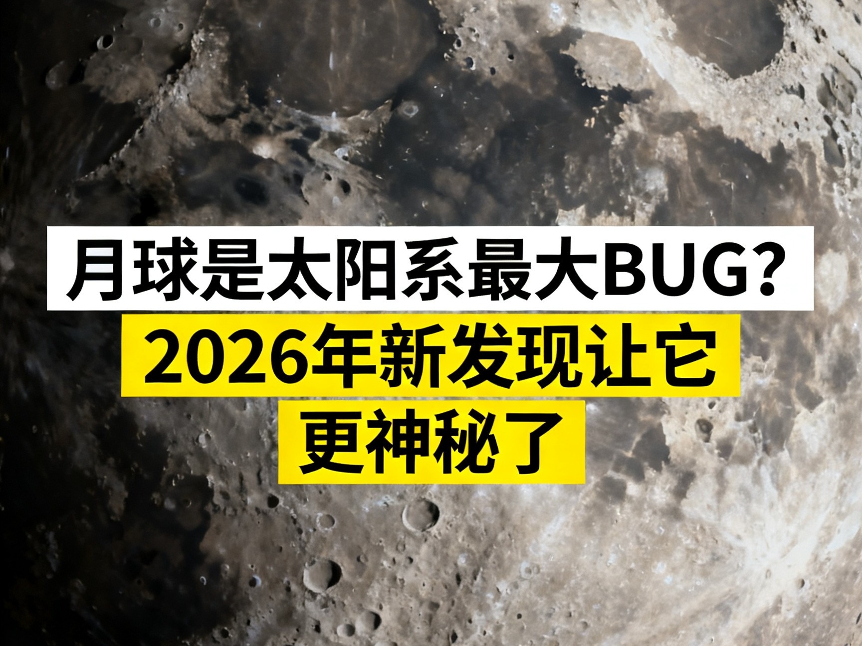 字幕下载