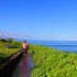 [4K] 夏威夷 威雷亚海滩小径 碧水共长天一色