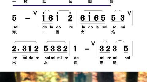 简谱视唱练习曲谱_简谱视唱(4)