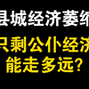 县城经济萎缩，只剩公仆经济能走多远