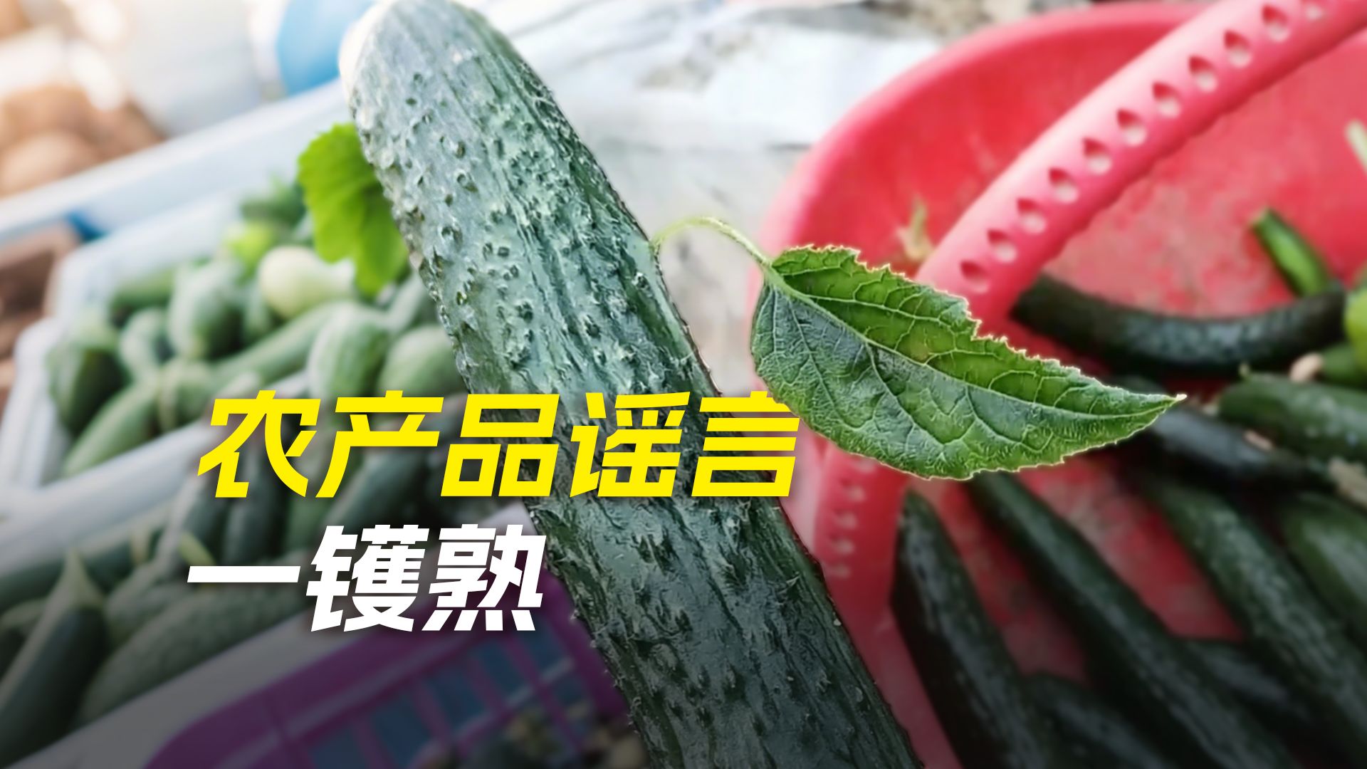 桃子上色、橘中藏橘、黄瓜表皮长叶子？【农产品谣言一镬熟】