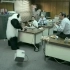 非常暴躁的熊猫砸电脑原版