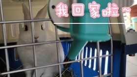 4568a790013593e6dae3bf6e2d9ca5f6588f5137.jpg@280w_158h_1c_100q.jpg