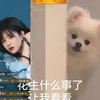 柏欣妤3月14号电台