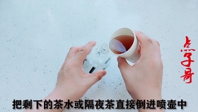 458a9a15e44714383aa4d072d559e7c87fdf8dd5.jpg@280w_158h_1c_100q.jpg