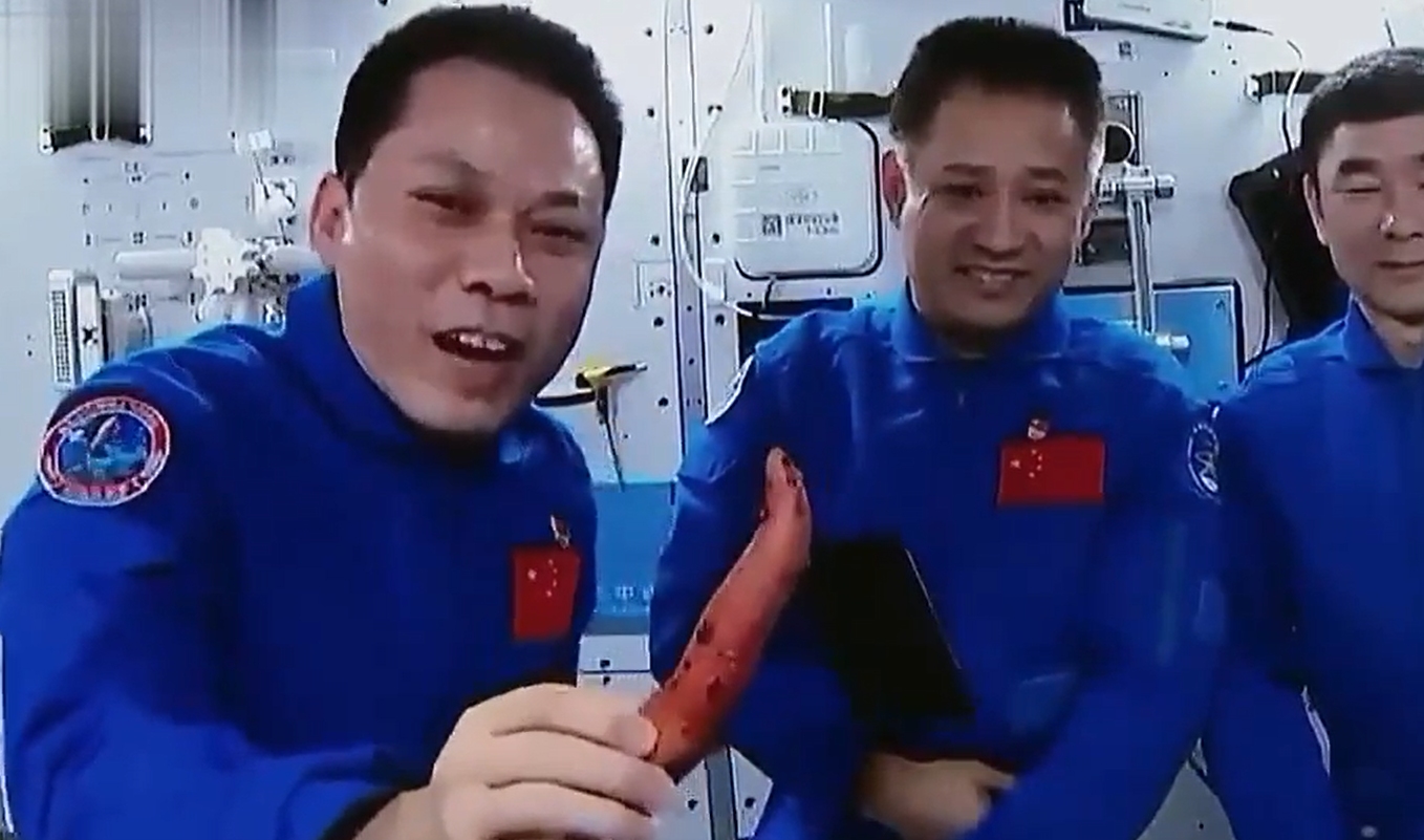 奇妙的太空！航天员汤洪波从老家带到空间站的红薯发芽了