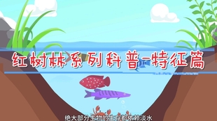 4599287e75c92daa2682beafec5992b700af36ba.jpg@310w_174h_1c_100q.jpg