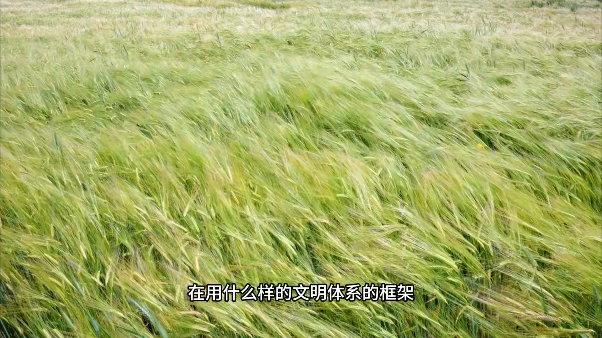 如何才能拥有觉察的能力，随时处于全知全在的状态呢？唯心所现，唯识所变，一切法从心想生！