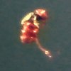 16.4.9 雷德兰  【罕见】红外摄像头拍到不断变形的UFO