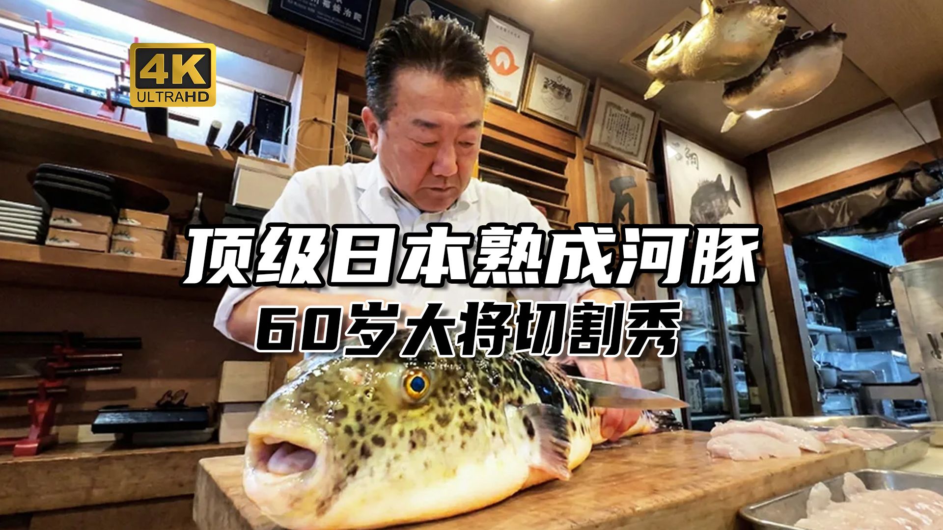 大鹏和你看世界美食