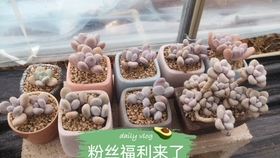 45cc90374e03e12ce93dd27ce7efd08bae1ece30.jpg@280w_158h_1c_100q.jpg