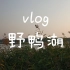 【vlog】野鸭湖／稻香