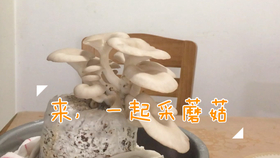 45d79cd1bde5fbf9a051b6e6b35879bc8bb423ee.jpg@280w_158h_1c_100q.jpg