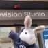 UEA Bunny的奇妙冒险记 02-TV studio