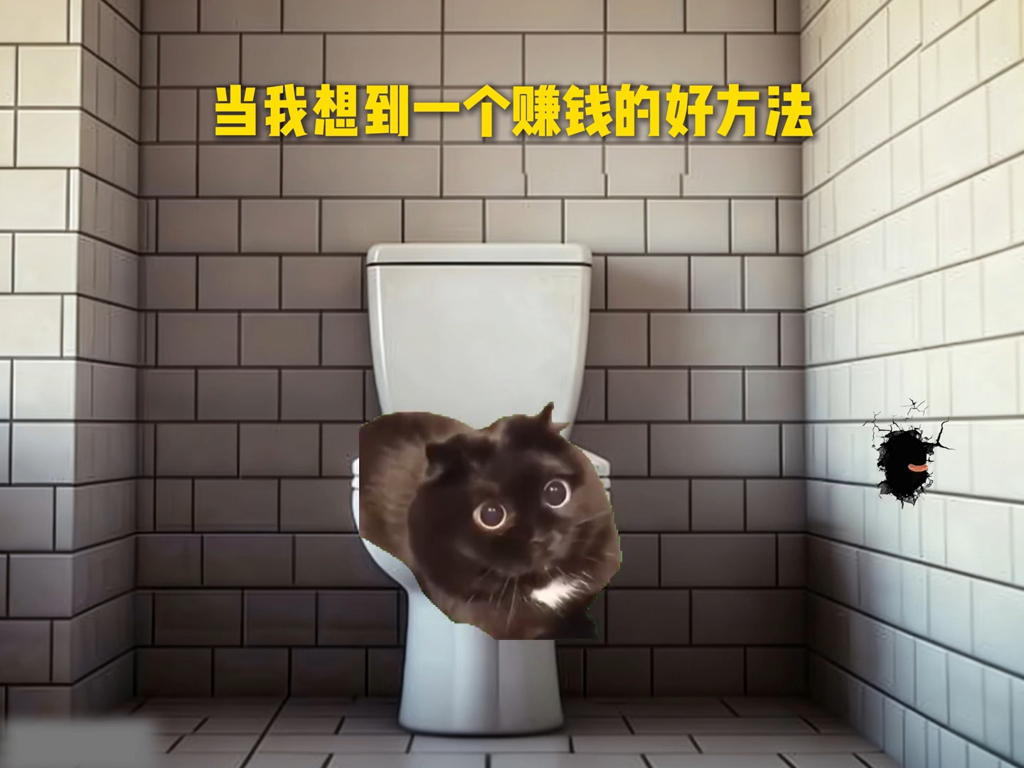 当我想到一个赚钱的好方法 #猫meme #meme #赚钱 #抽象 #搞笑