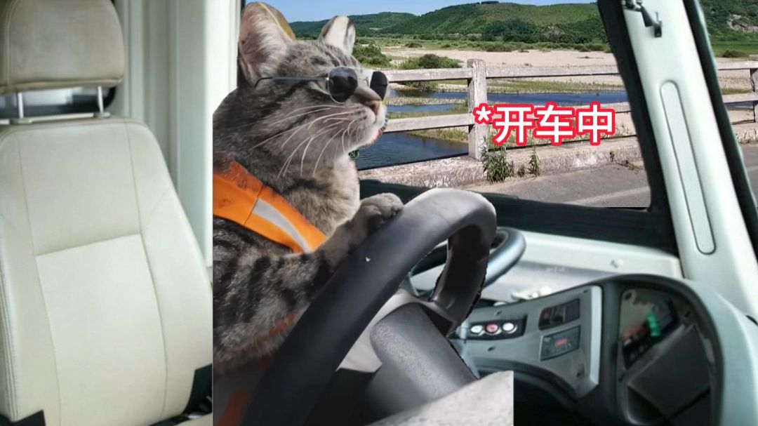 灵活变通这一块