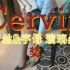 『测评』Cervin-小众款玻璃丝