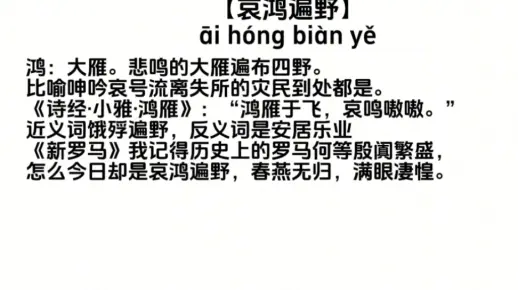 每天学习一个小成语之，哀鸿遍野