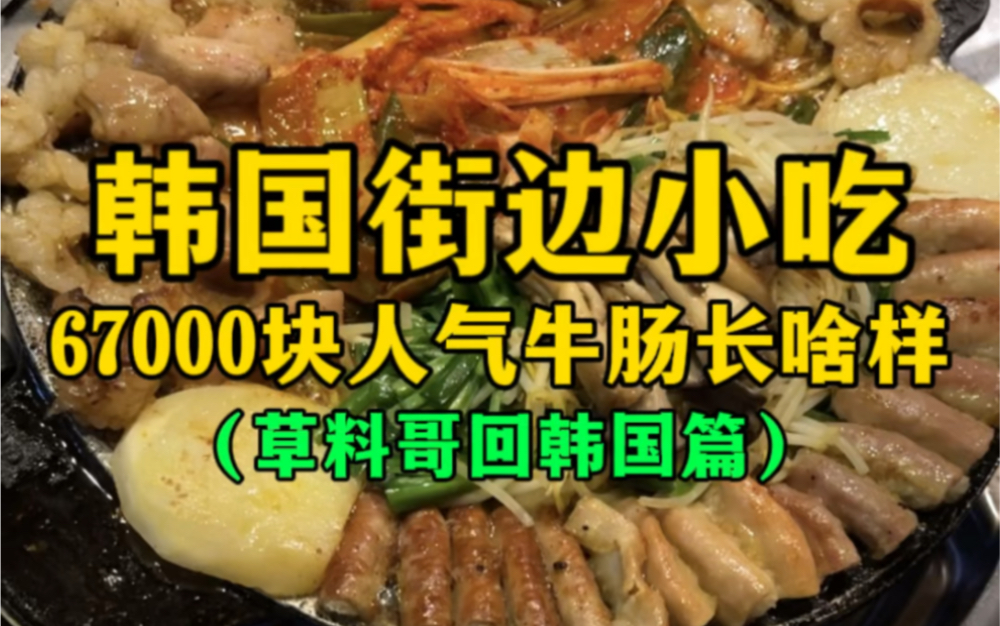 韩国街边小吃67000元人气牛肠长啥样？
