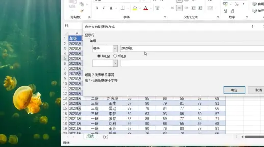 excel怎样进行数据筛选