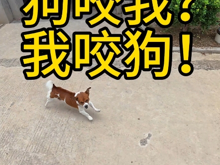 敢追我？那我就让你知道追我的后果！