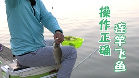 刮什么风不好钓鱼 4622b9c647cf4ce13c2f1c64e9377415da8c985e.jpg@280w_158h_1c_100q.jpg